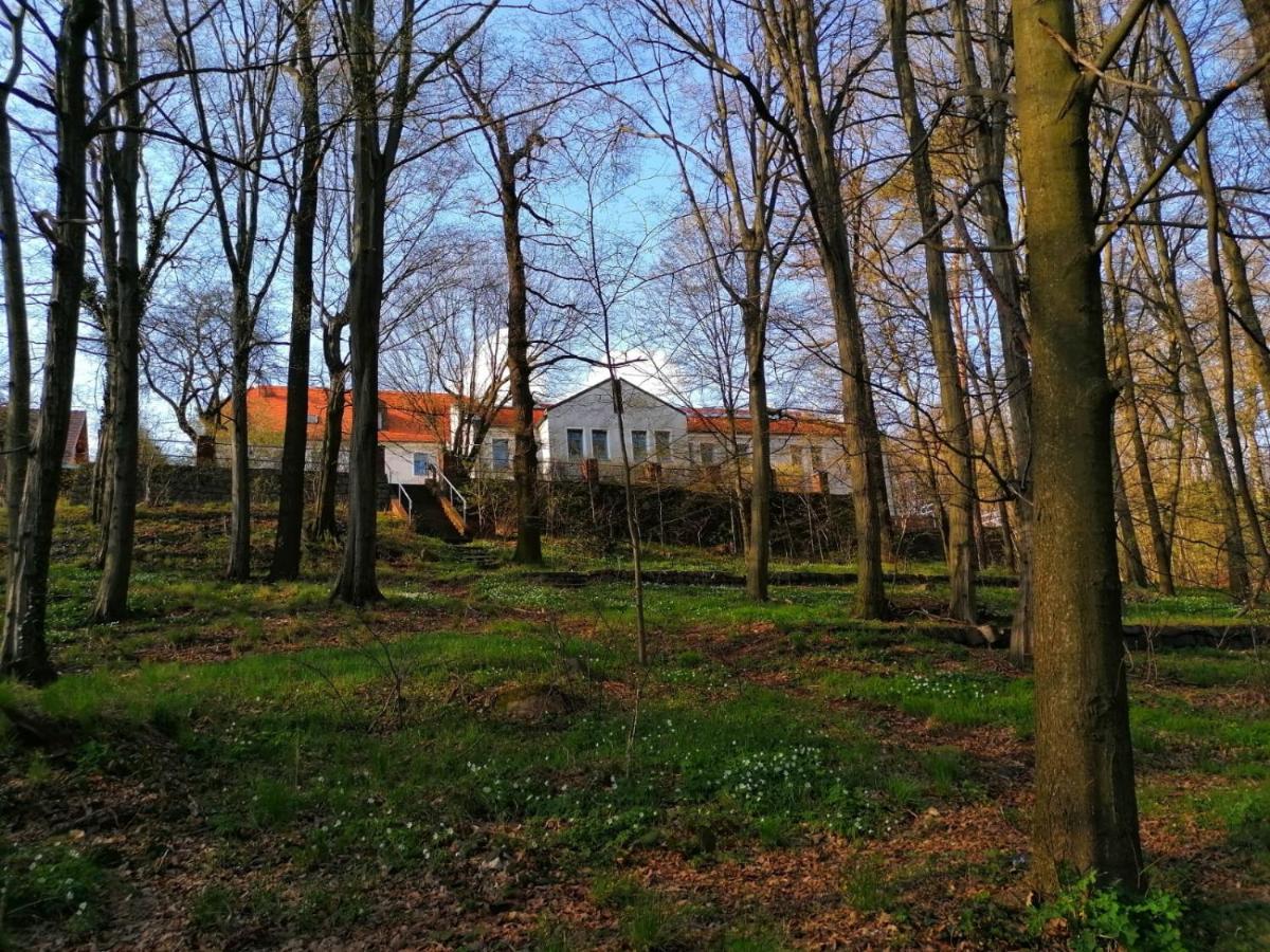 Hotel Kreuzbergbaude Beim Berzdorfer See Mit Wohlfuehl Sauna Markersdorf Eksteriør bilde